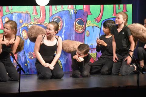 Willy Wonka Costumes