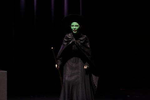 The Wizard of Oz Costumes