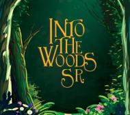 Into the Woods JR.