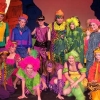 Seussical - The Jungle Creatures Costumes