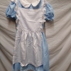 Alice costume
