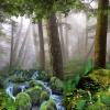 Grosh Backdrops Forest Panel 1 is used in productions of Into the Woods, Beauty and the Beast, Lion King, and Brigadoon