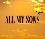 Image of a plane flying in an orange sky with the words all my sons in brown text