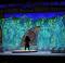 Moana jr musical set scenery rental - Stagecraft Theatrical