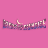 Birds of Paradise Birds of Paradise