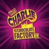Roald Dahl's Charlie and the Chocolate Factory JR.